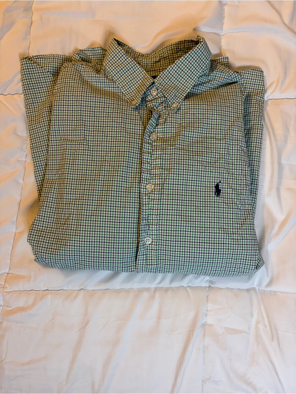 Polo by Ralph Lauren Blue and Green Mini-Check Button-Down Shirt